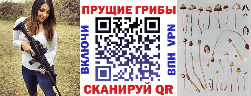 Галлюциногенные грибы ЛСД  наркошоп  Чухлома 
